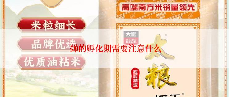  蝉的孵化期需要注意什么