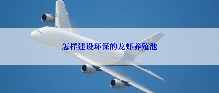 怎样建设环保的龙虾养殖池