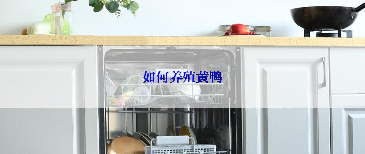 如何养殖黄鸭