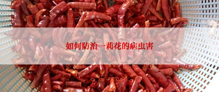 如何防治一莉花的病虫害