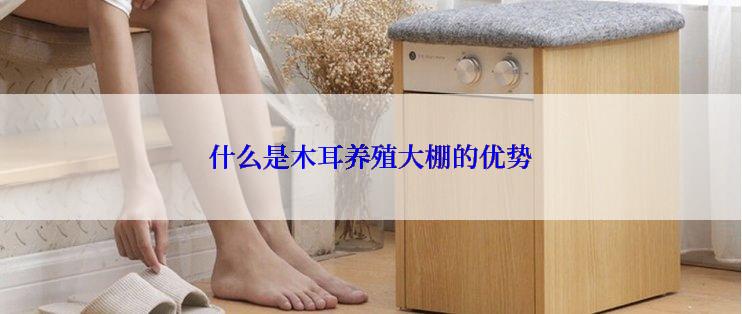 什么是木耳养殖大棚的优势