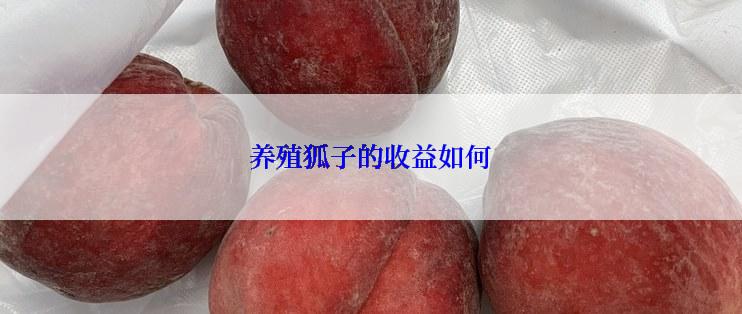 养殖狐子的收益如何