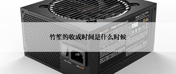 竹笙的收成时间是什么时候