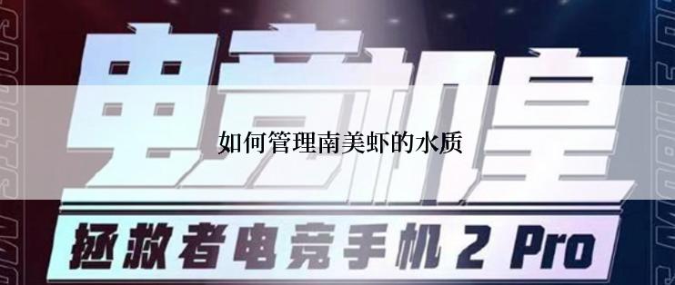  如何管理南美虾的水质