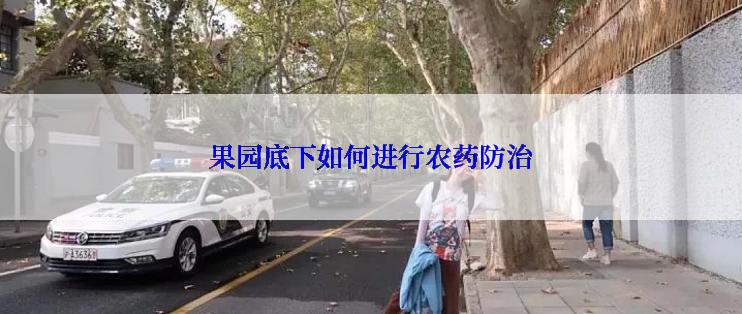 果园底下如何进行农药防治