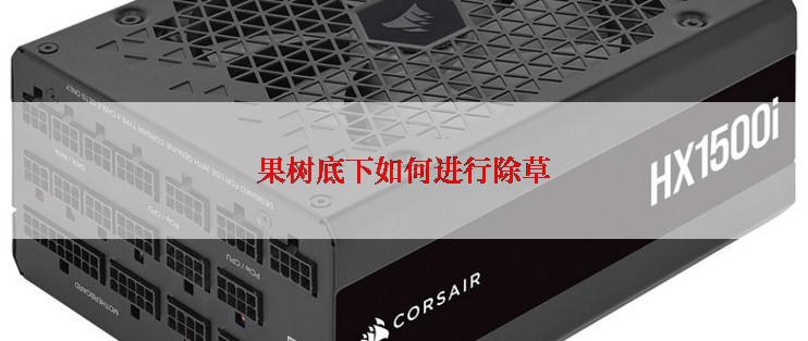 果树底下如何进行除草