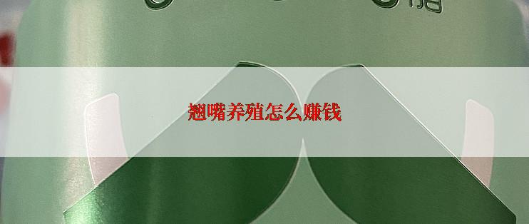 翘嘴养殖怎么赚钱