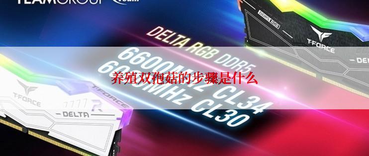 养殖双孢菇的步骤是什么