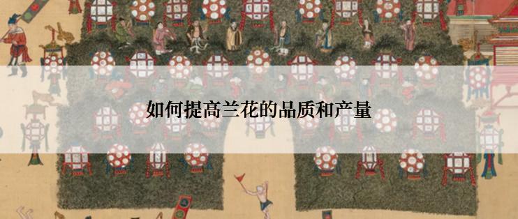如何提高兰花的品质和产量