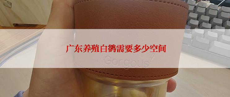  广东养殖白鹆需要多少空间