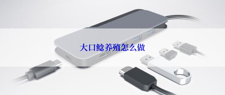 大口鲶养殖怎么做