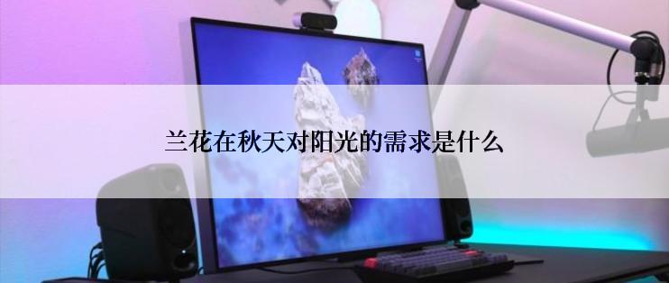 兰花在秋天对阳光的需求是什么
