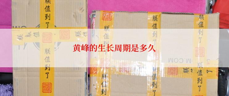 黄峰的生长周期是多久
