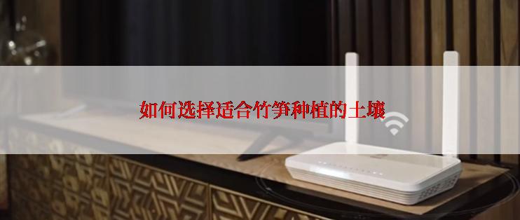  如何选择适合竹笋种植的土壤