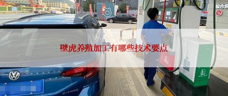 壁虎养殖加工有哪些技术要点