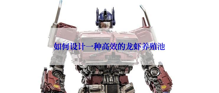 如何设计一种高效的龙虾养殖池