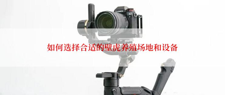 如何选择合适的壁虎养殖场地和设备