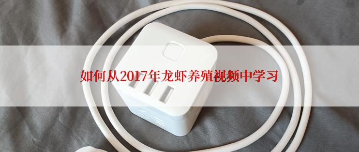如何从2017年龙虾养殖视频中学习