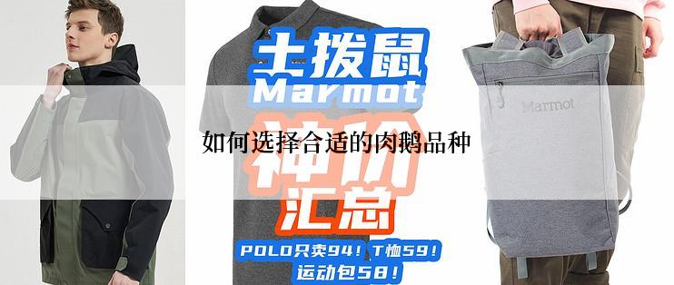 如何选择合适的肉鹅品种