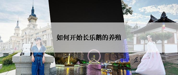 如何开始长乐鹅的养殖