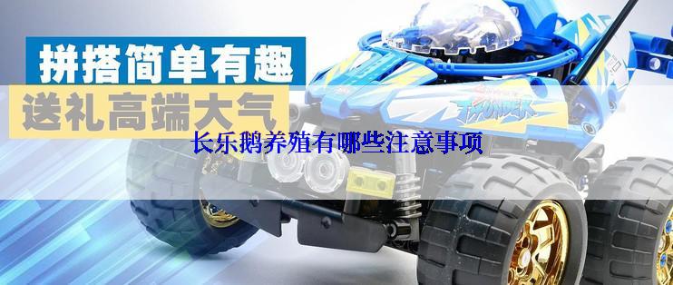 长乐鹅养殖有哪些注意事项