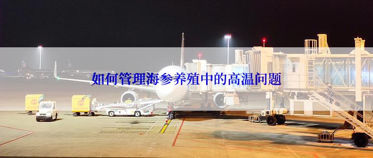 如何管理海参养殖中的高温问题