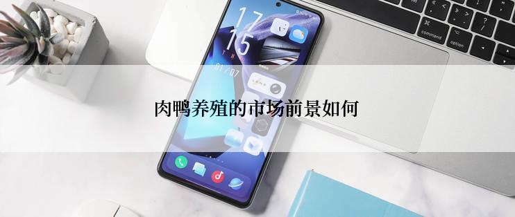 肉鸭养殖的市场前景如何