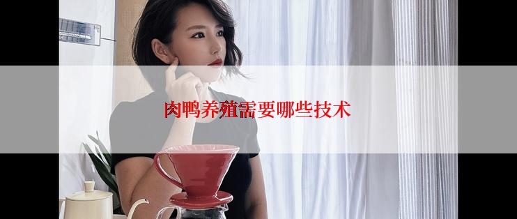 肉鸭养殖需要哪些技术