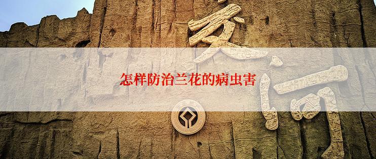 怎样防治兰花的病虫害