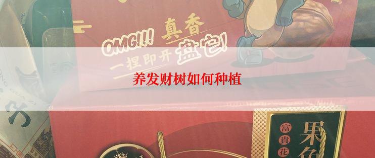 养发财树如何种植