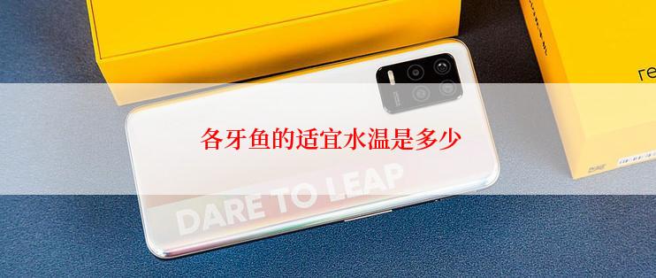  各牙鱼的适宜水温是多少