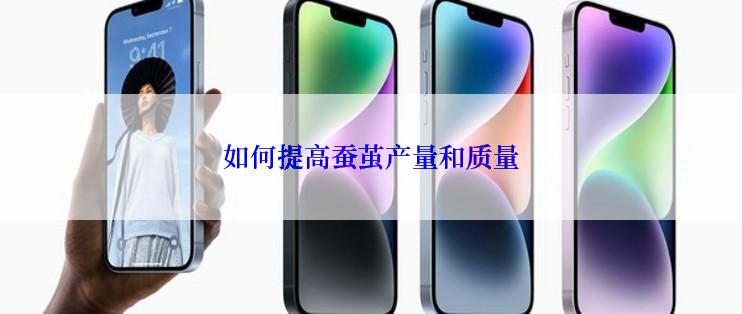如何提高蚕茧产量和质量