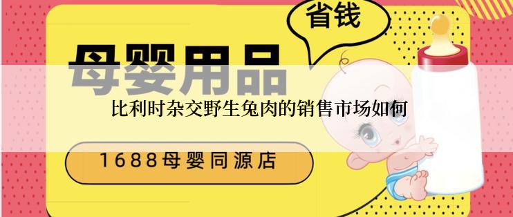  比利时杂交野生兔肉的销售市场如何