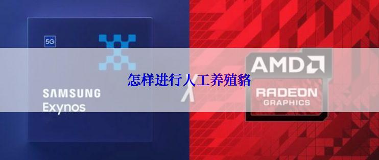 怎样进行人工养殖貉