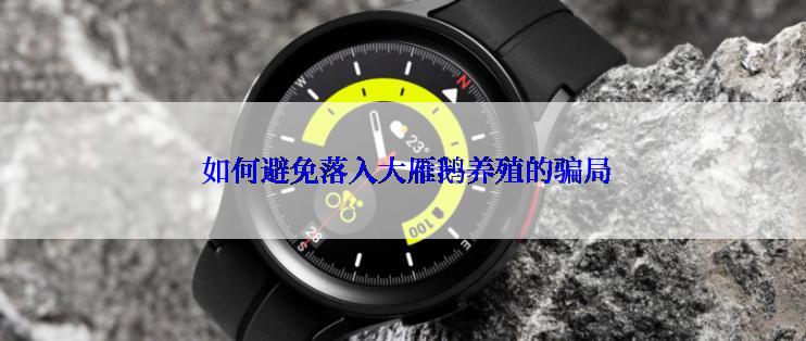  如何避免落入大雁鹅养殖的骗局