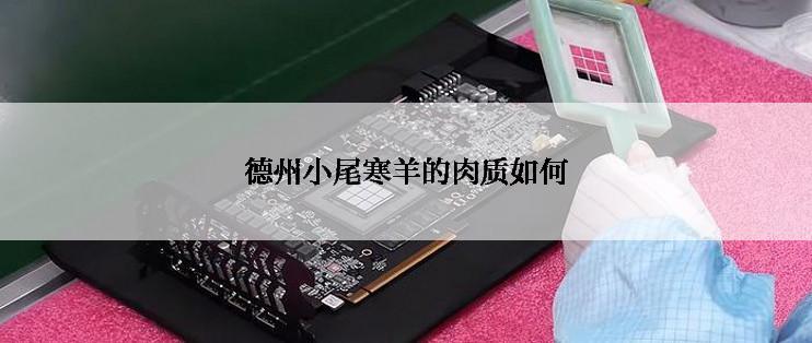 德州小尾寒羊的肉质如何