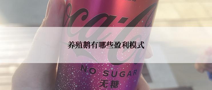 养殖鹅有哪些盈利模式