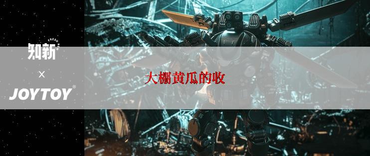 大棚黄瓜的收