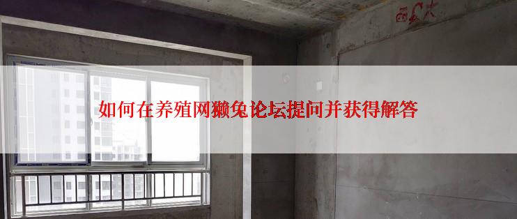 如何在养殖网獭兔论坛提问并获得解答