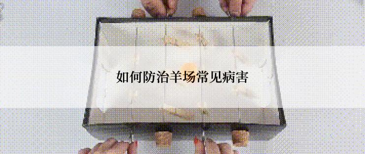 如何防治羊场常见病害