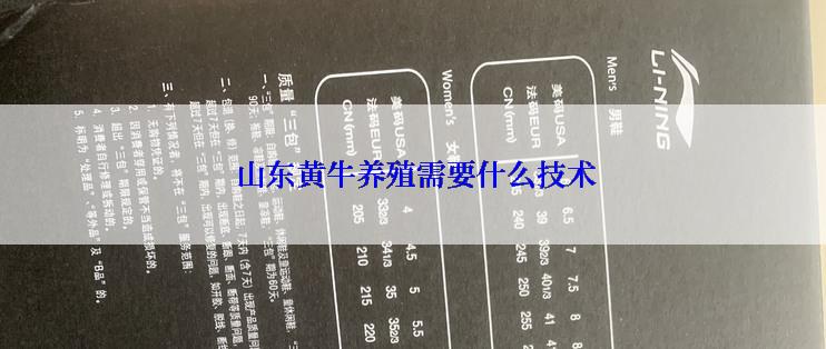  山东黄牛养殖需要什么技术