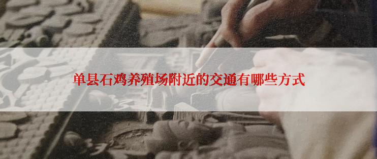 单县石鸡养殖场附近的交通有哪些方式