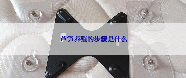  芦笋养殖的步骤是什么