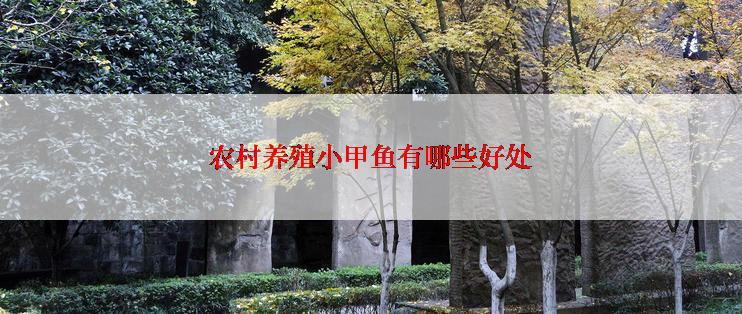 农村养殖小甲鱼有哪些好处