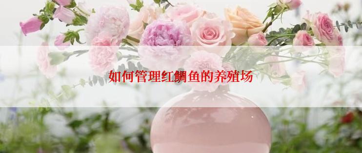 如何管理红鲷鱼的养殖场