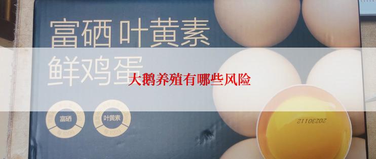  大鹅养殖有哪些风险
