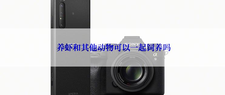 养虾和其他动物可以一起饲养吗