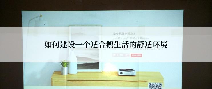 如何建设一个适合鹅生活的舒适环境