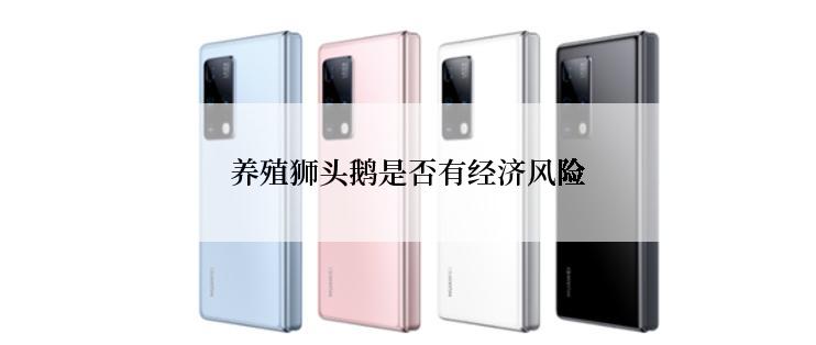 养殖狮头鹅是否有经济风险