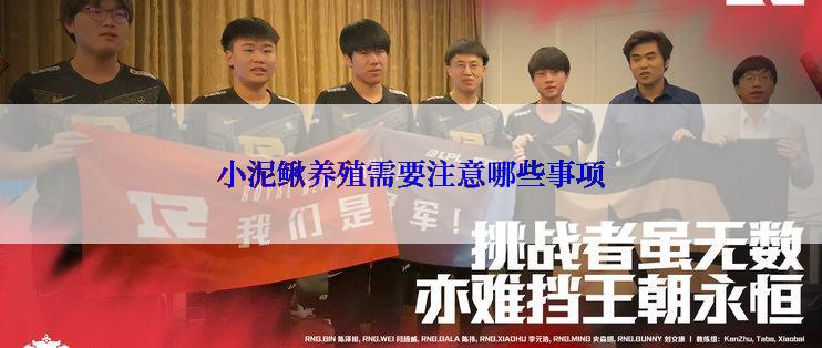 小泥鳅养殖需要注意哪些事项
